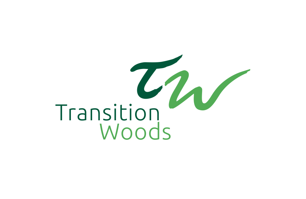Transition Woods